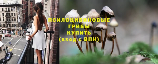 PSILOCYBIN Белоозёрский