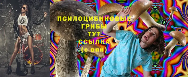 OMG онион  Североморск  Псилоцибиновые грибы мицелий 